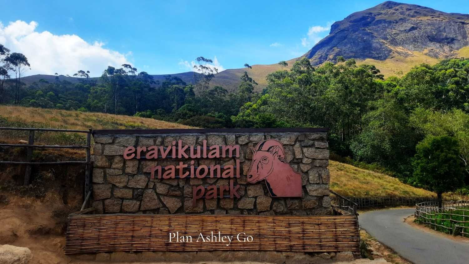 Eravikulam National Park – Periyar Wildlife Sanctuary