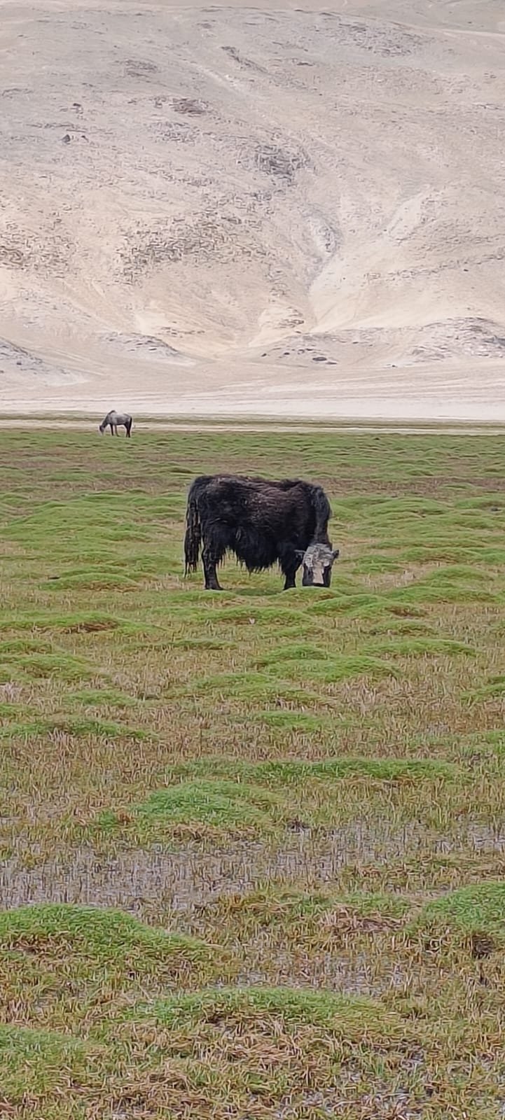 Ride Leh – Dah-Hanu (160 Km)