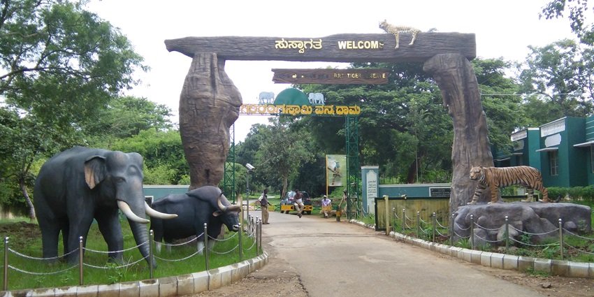  BR Hills – Bandipur National Park