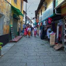 Kumarakom Bird Sanctuary – Kochi – Onward Destination