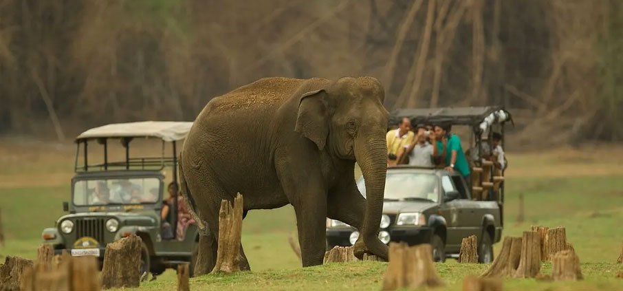 Nagarhole National Park